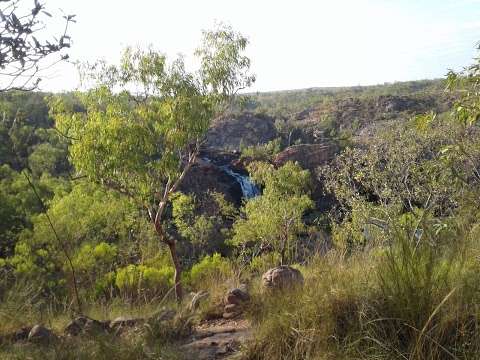 Photo: Edith Falls Upper Pool Photo: Edith Falls Upper Pool